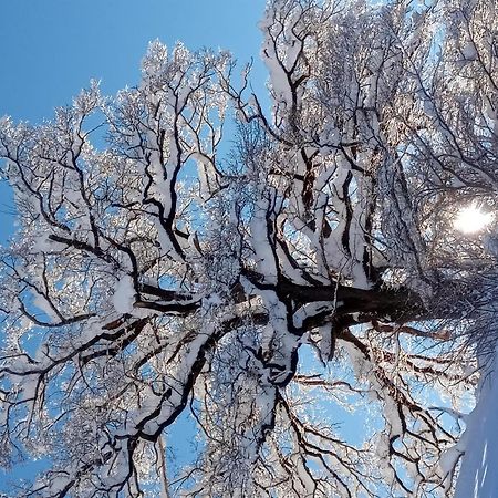 Appartement Montanea Schruns Dış mekan fotoğraf